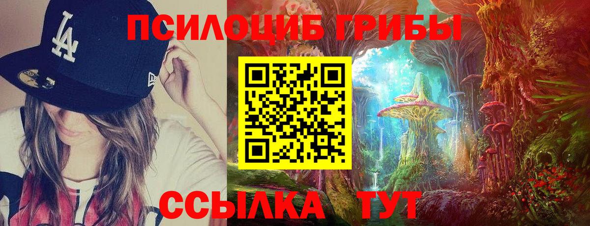 Галлюциногенные грибы Psilocybe Елабуга