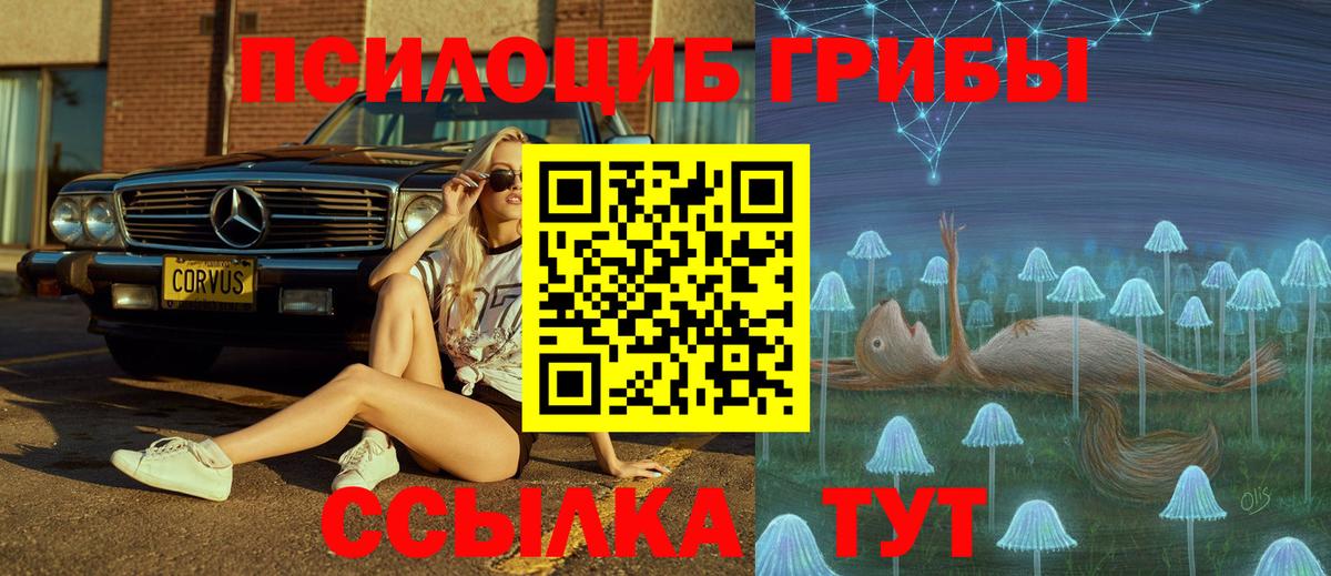 Псилоцибиновые грибы ЛСД  Вход с VPN  Галлюциногенные грибы GOLDEN TEACHER  Елабуга 